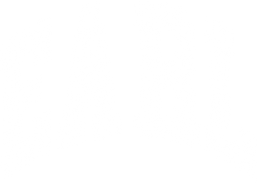 Earl Skateboards